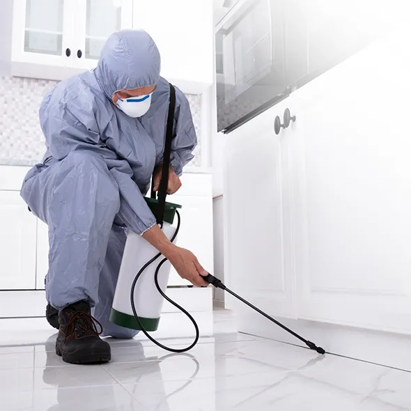 Doutor Pragas - Porque nos escolher?